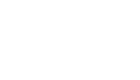 Synergy Group bnvmi